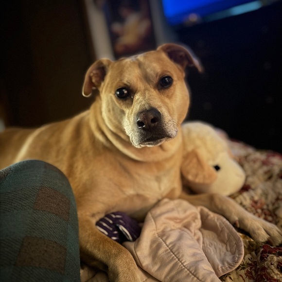 Meet your Posher, Susan - Picture 2 of 4